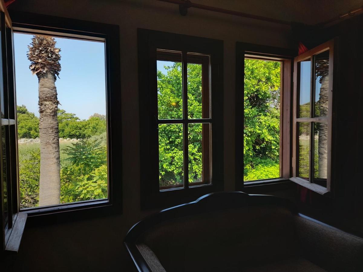 Casa Callinos Bed & Breakfast Selçuk Luaran gambar