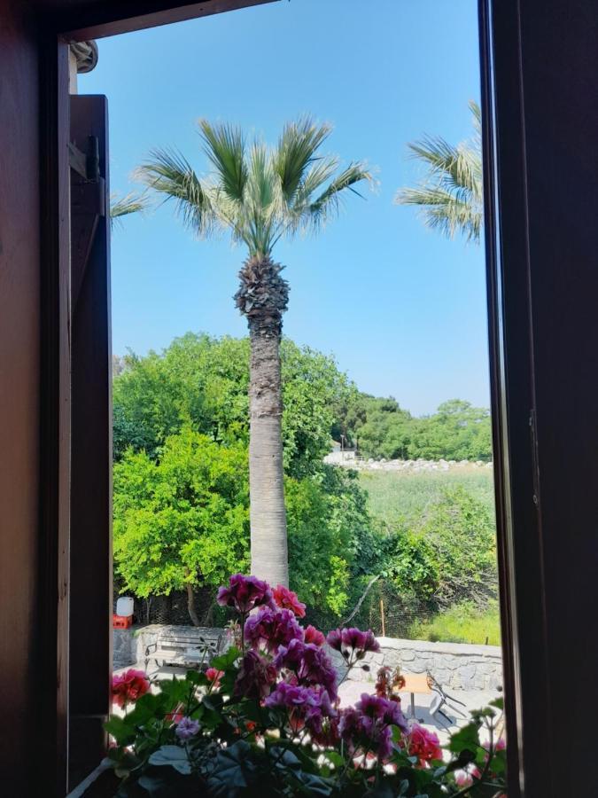Casa Callinos Bed & Breakfast Selçuk Luaran gambar