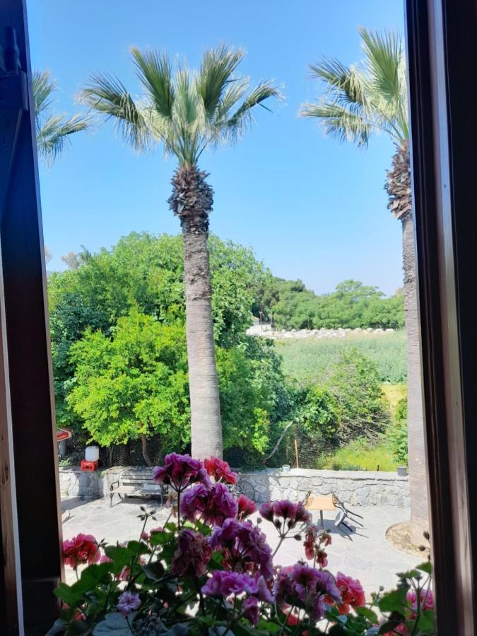 Casa Callinos Bed & Breakfast Selçuk Luaran gambar