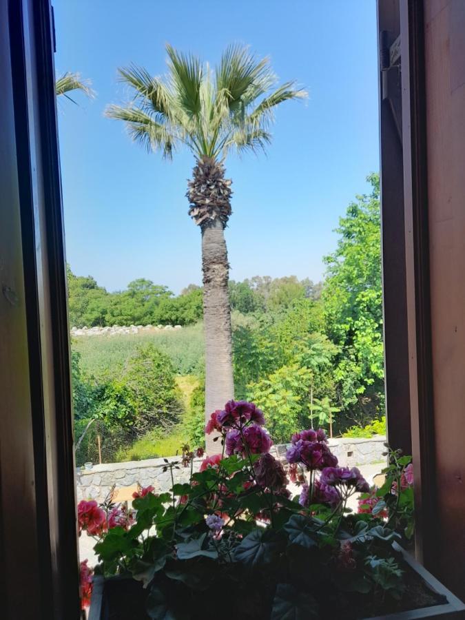 Casa Callinos Bed & Breakfast Selçuk Luaran gambar